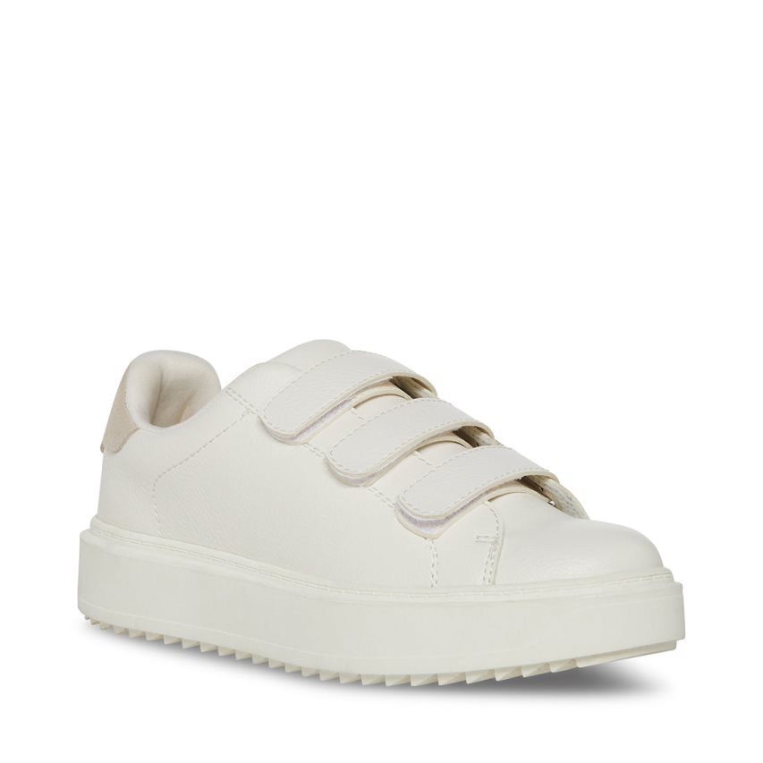 White Steve Madden Catching Women's Sneakers | PH 2869UZT